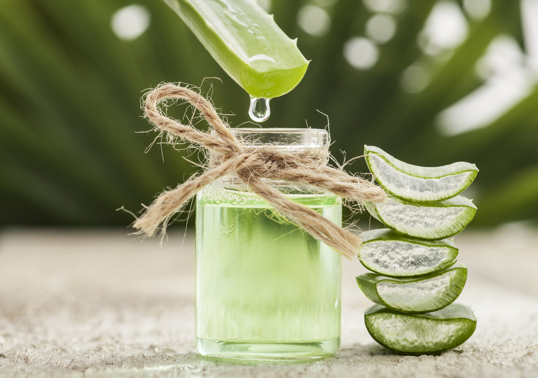 Aloe