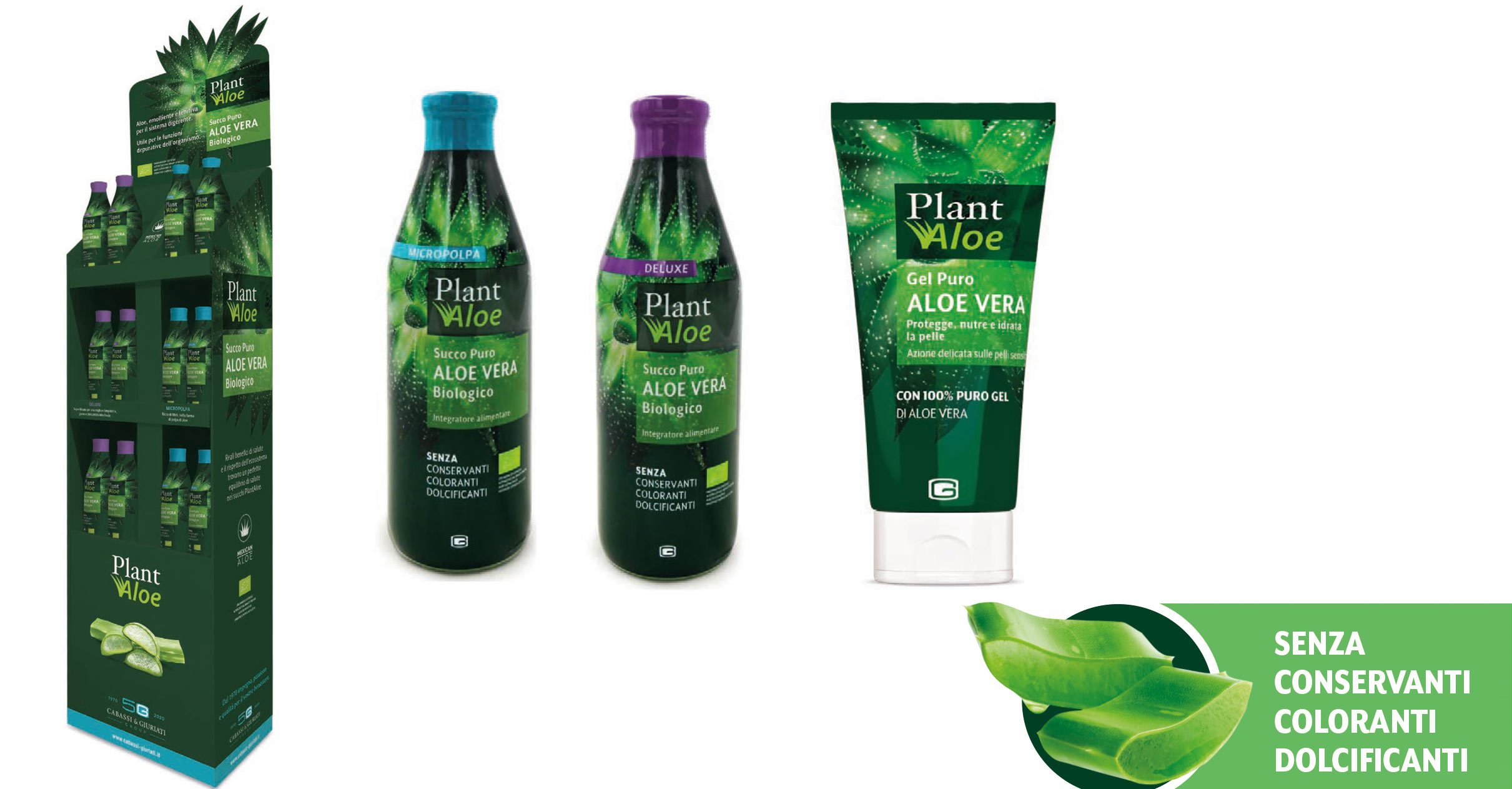 immagini-banner-sotto-plant-aloe2